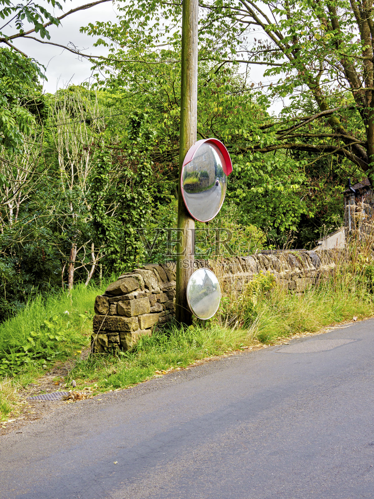 两个凸面交通镜安装在一个乡村道路的十字路口,周围是郁郁葱葱的绿色植物。照片摄影图片