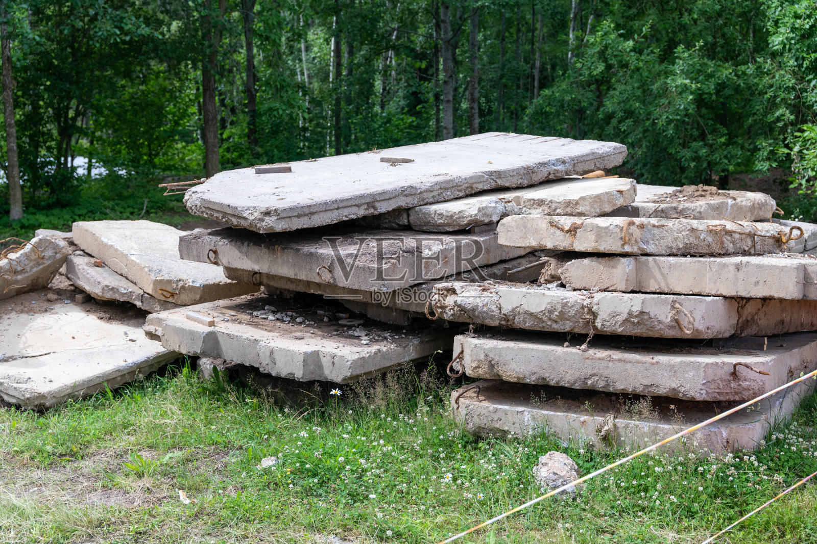 森林空地上被丢弃的混凝土板照片摄影图片