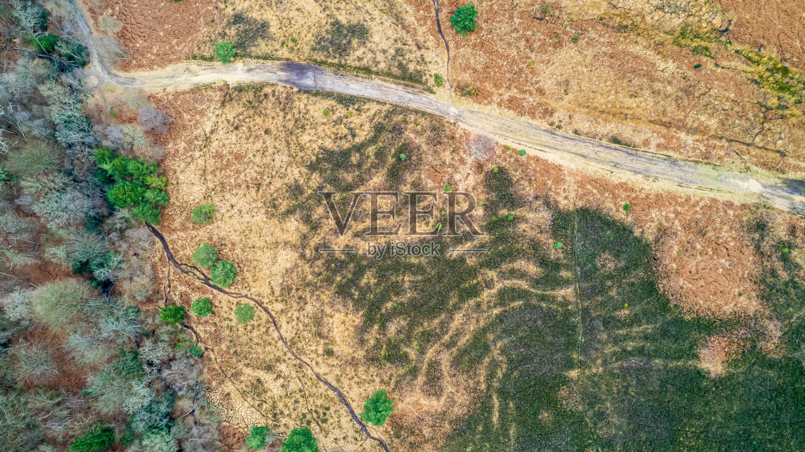 鸟瞰曲曲折折的土路照片摄影图片