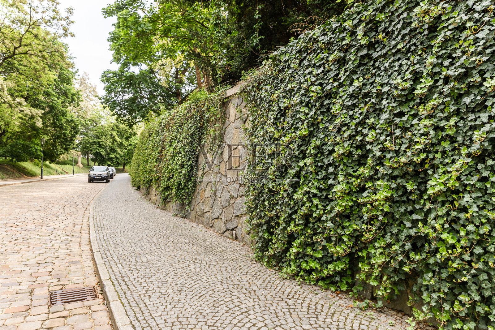 捷克布拉格Vysehrad地区公园的墙上爬满了常春藤照片摄影图片