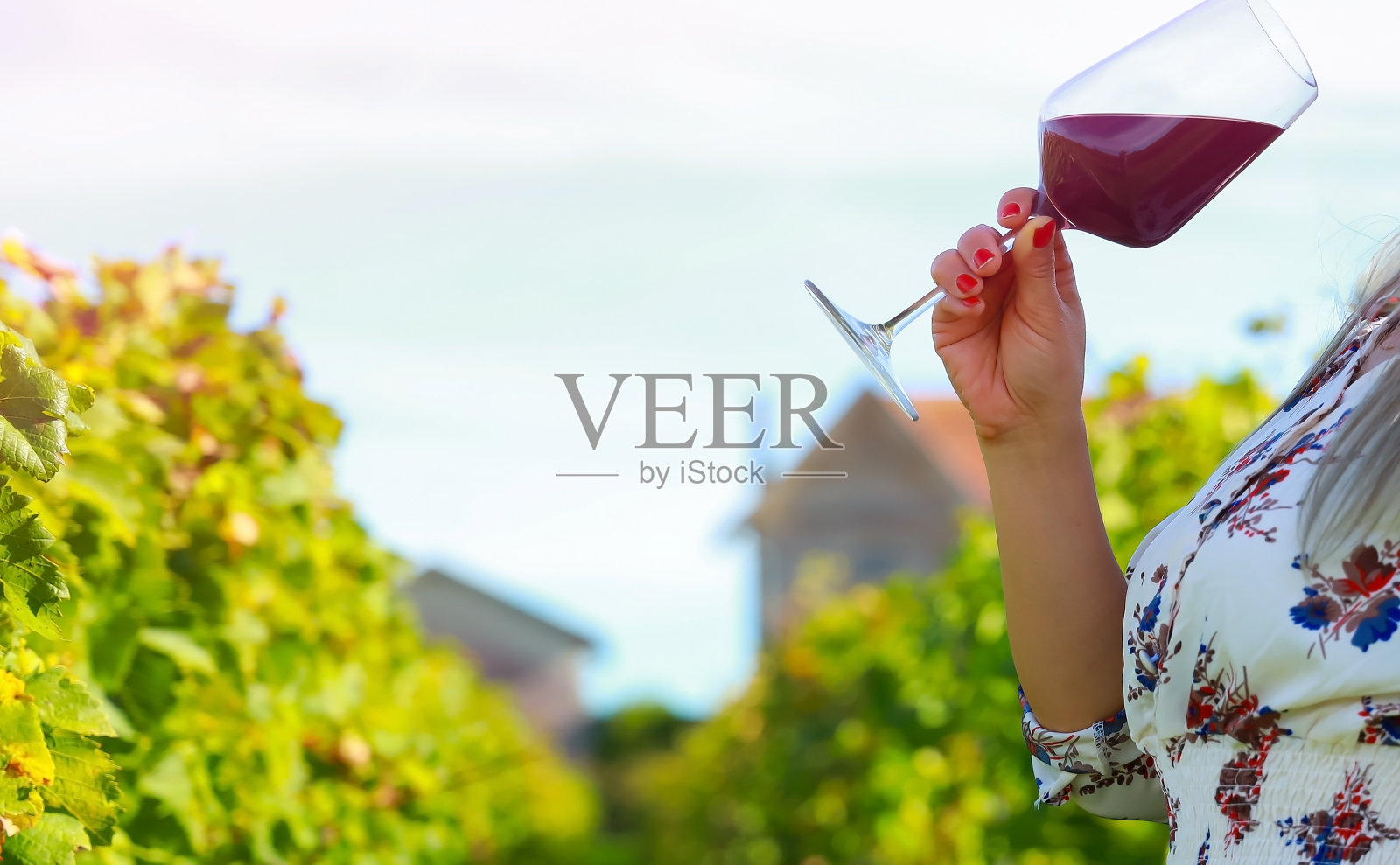 红酒杯,夏日葡萄园里哪一刻的快乐。照片摄影图片