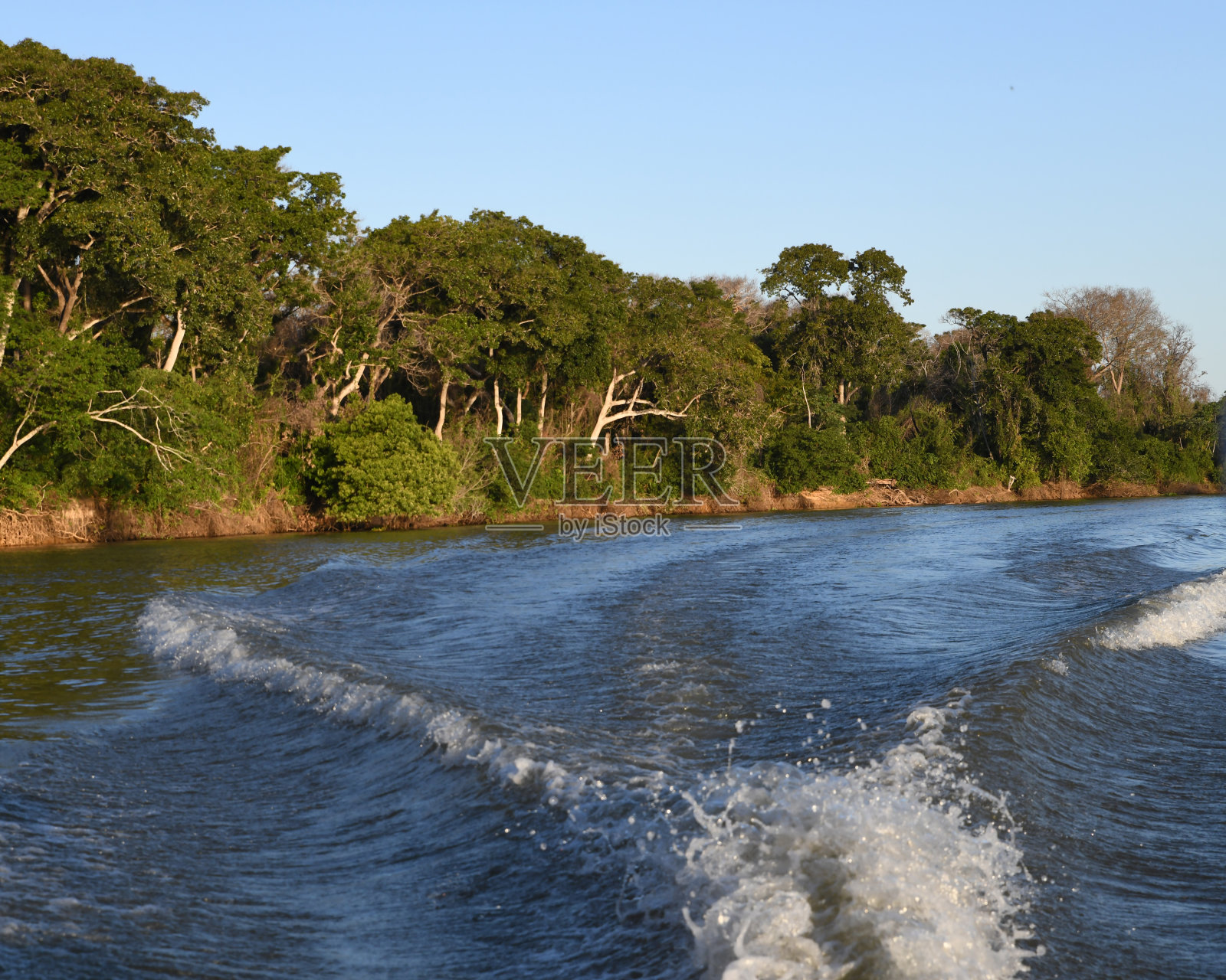 在潘塔纳尔河,摩托艇是理想的交通工具照片摄影图片