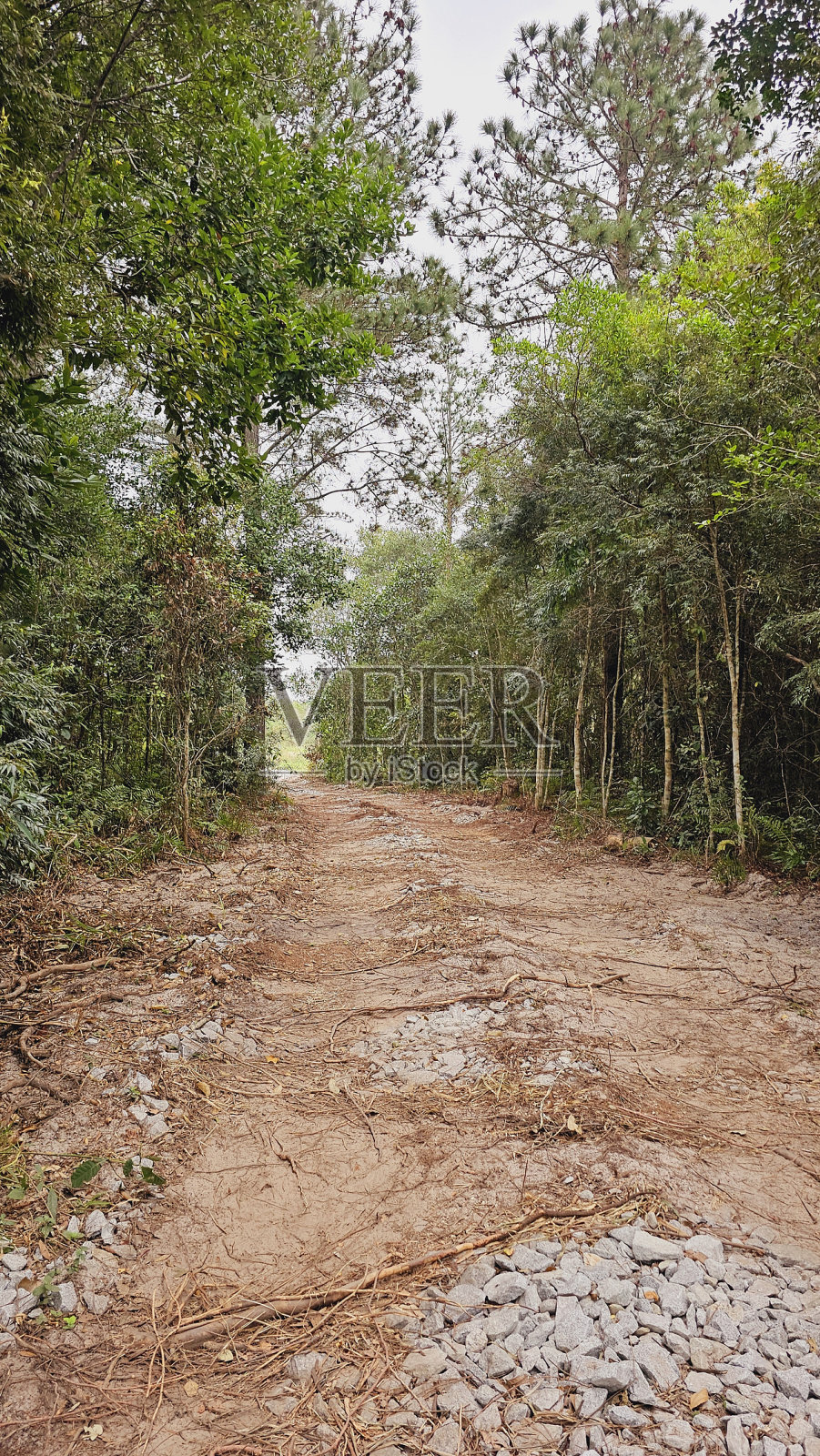 景观照片摄影图片