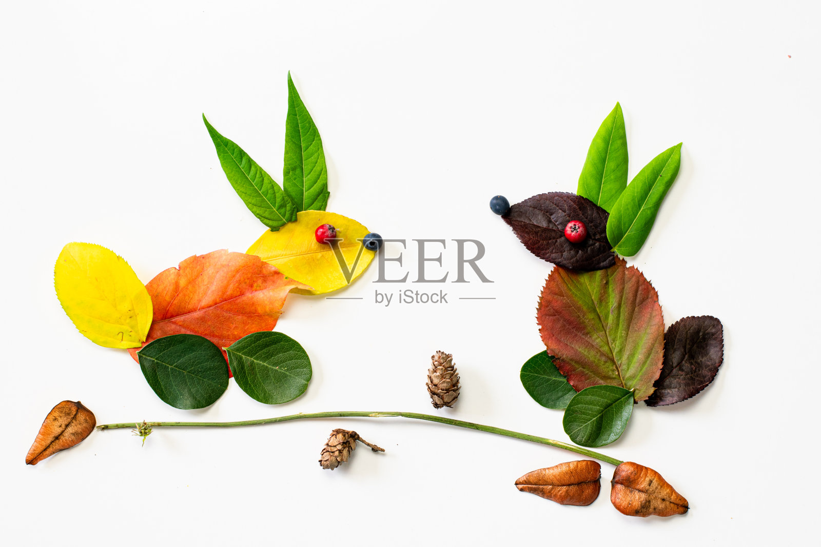 五彩缤纷的秋叶,儿童创意,作文,孤立的长耳朵创意兔子照片摄影图片