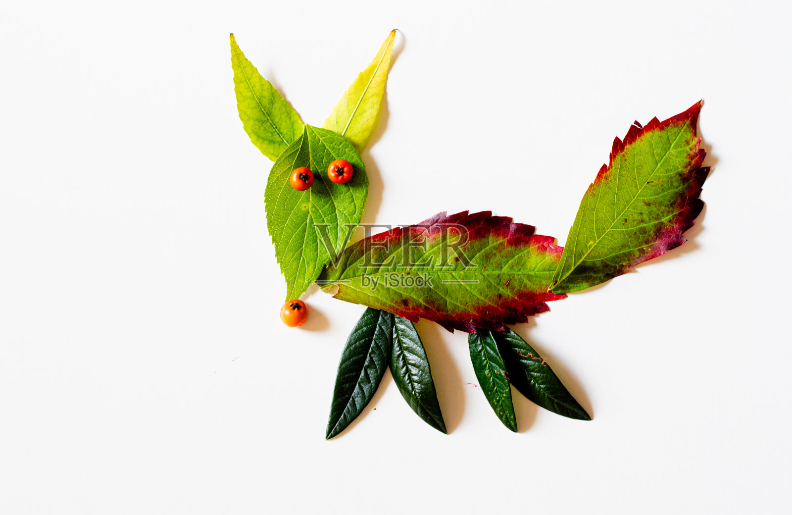 五彩缤纷的秋叶,儿童创意,构图,孤立的创意狐狸动物照片摄影图片