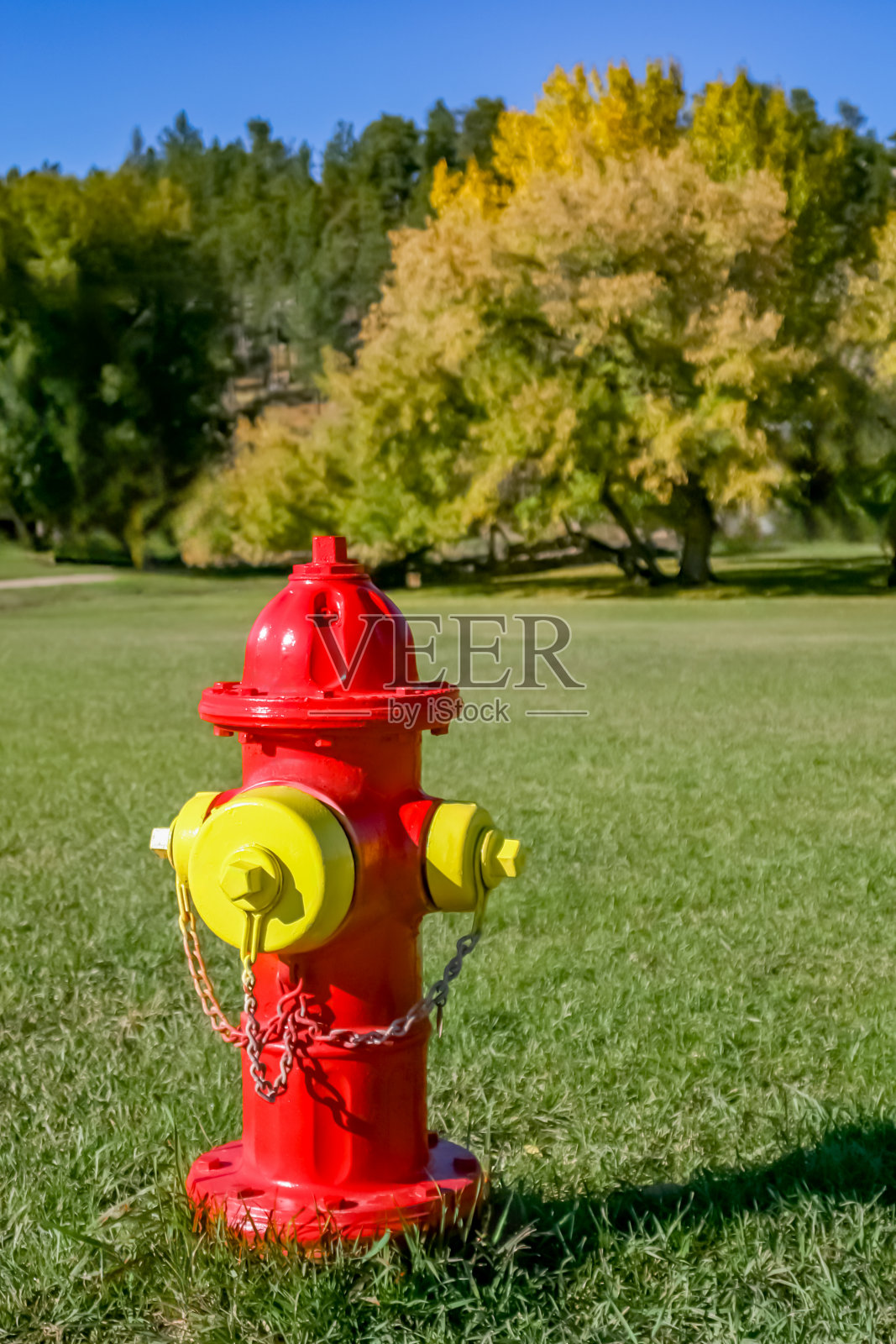 典型的美国红黄消防栓照片摄影图片