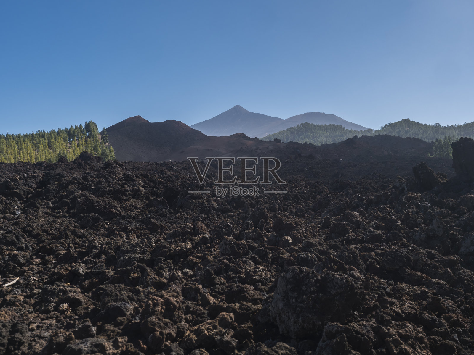 奇耶罗环形徒步小径上的火山景观。黑色的熔岩地面,加那利岛特有的绿色松树,清澈的蓝天。以及Pico del Teide火山。西班牙特内里费照片摄影图片