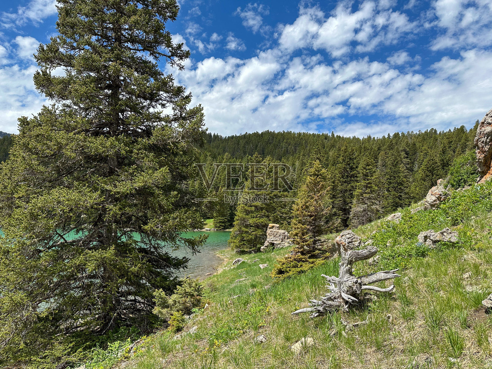 蒙大拿州刘易斯和克拉克国家森林的水晶湖照片摄影图片