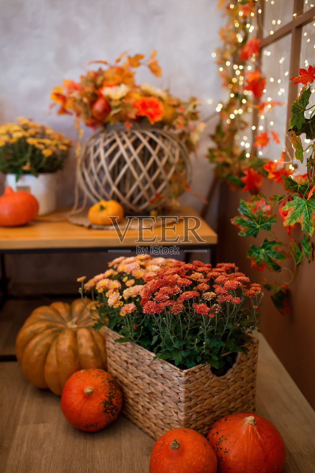 橙色南瓜与一个可爱的秋天花组成的背景黄色和橙色的落叶照片摄影图片