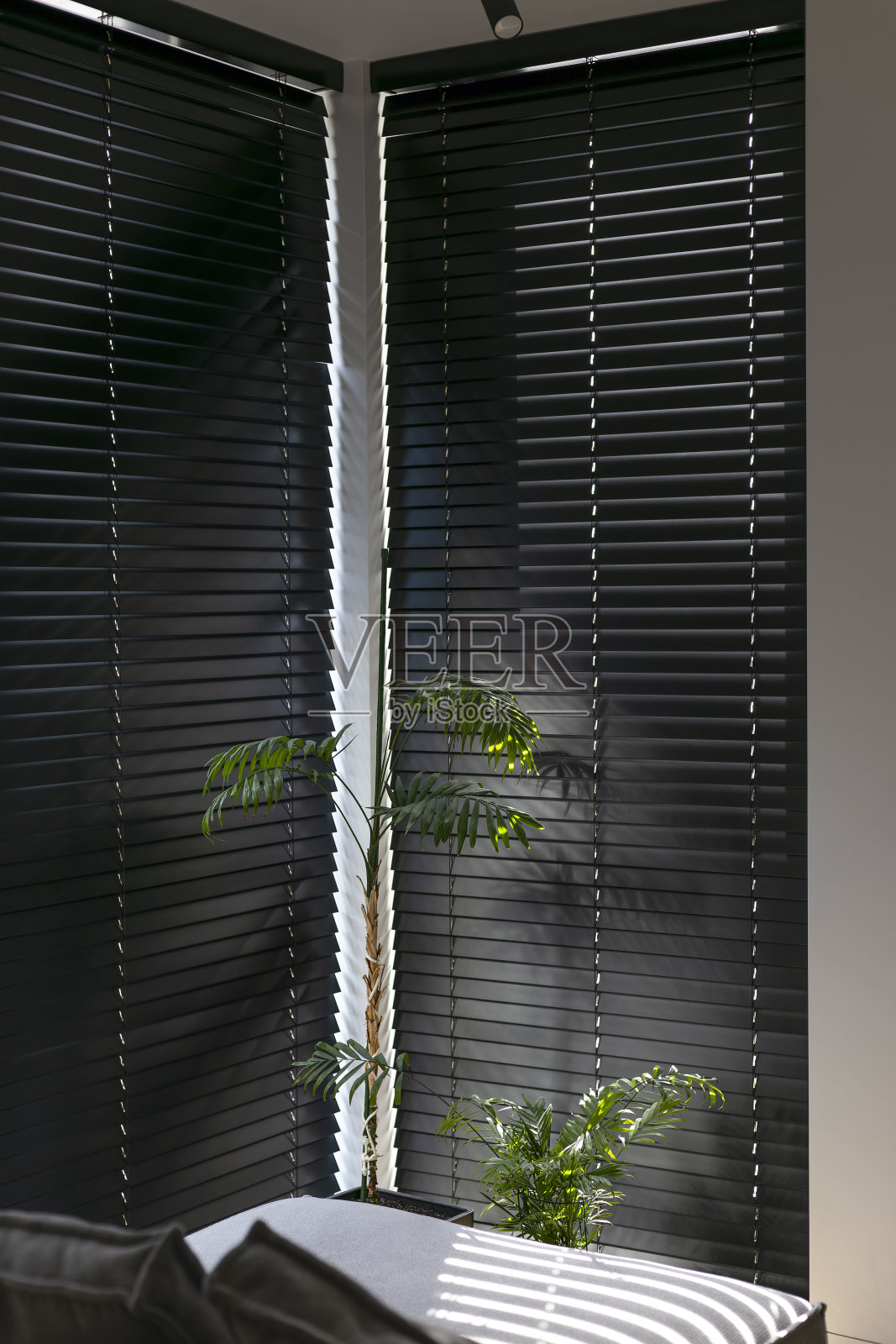 现代室内的木制电动百叶窗照片摄影图片