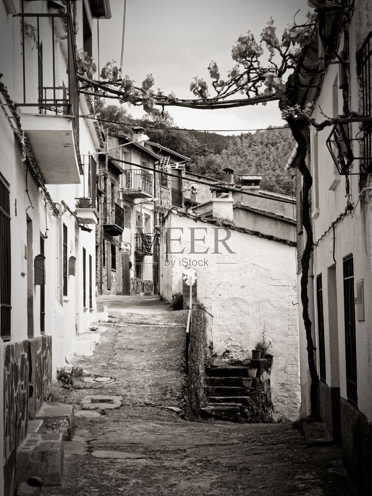灰度垂直拍摄的一条狭窄的鹅卵石街道在一个欧洲村庄的乡村建筑照片摄影图片