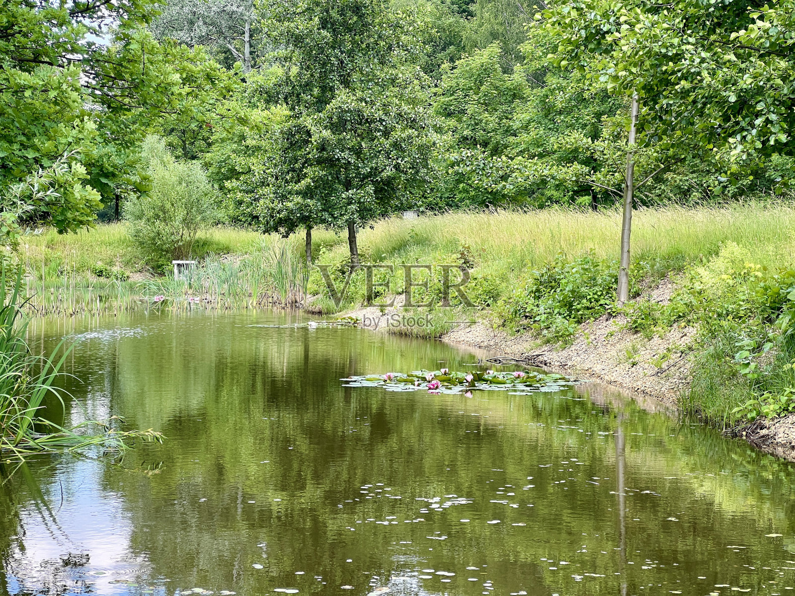 美丽的夏日风景,有一条小河,蓝天白云照片摄影图片