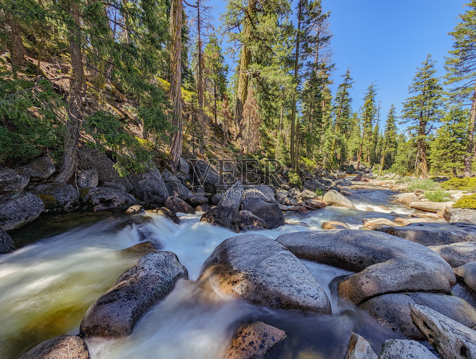 在清澈的蓝天下,一条岩石河流流经森林地区照片摄影图片