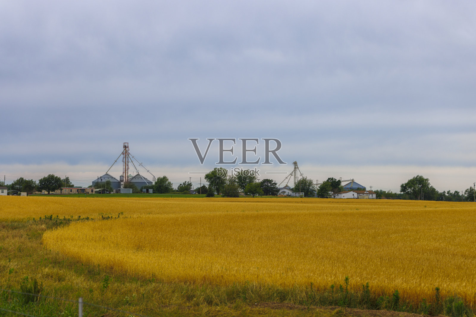 金色的麦田横跨俄克拉荷马州的加拿大县。照片摄影图片