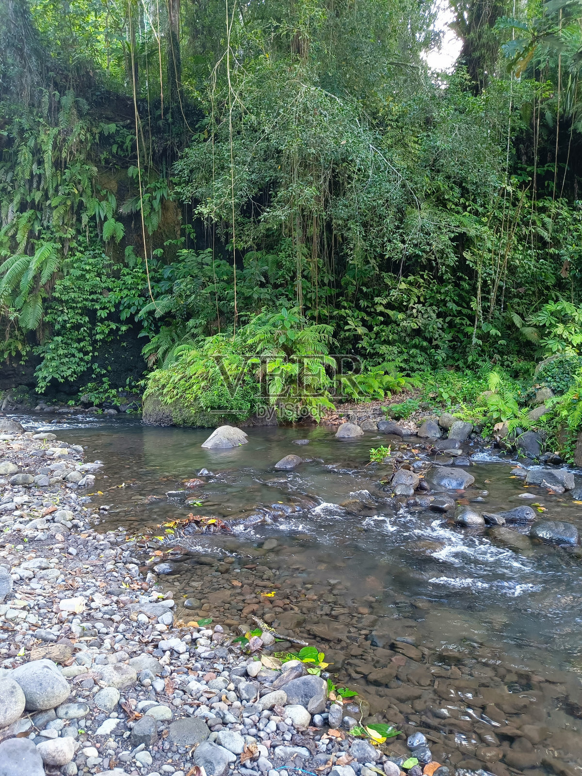 美丽的印尼河照片摄影图片