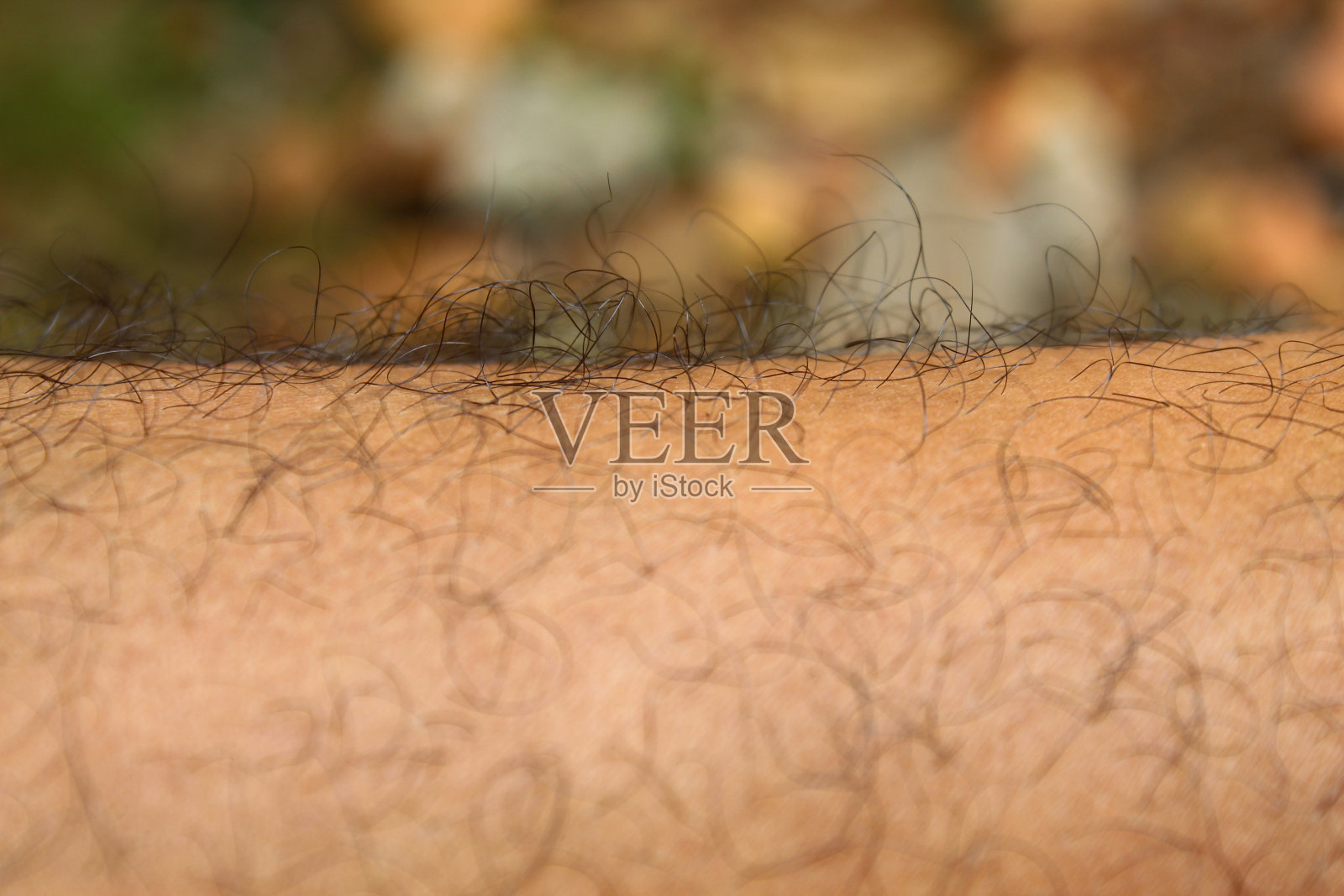 一个男人腿上的羽毛特写照片摄影图片