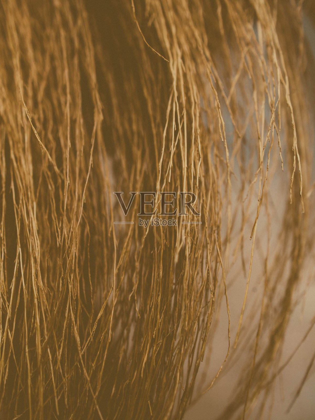 扫把特写照片摄影图片