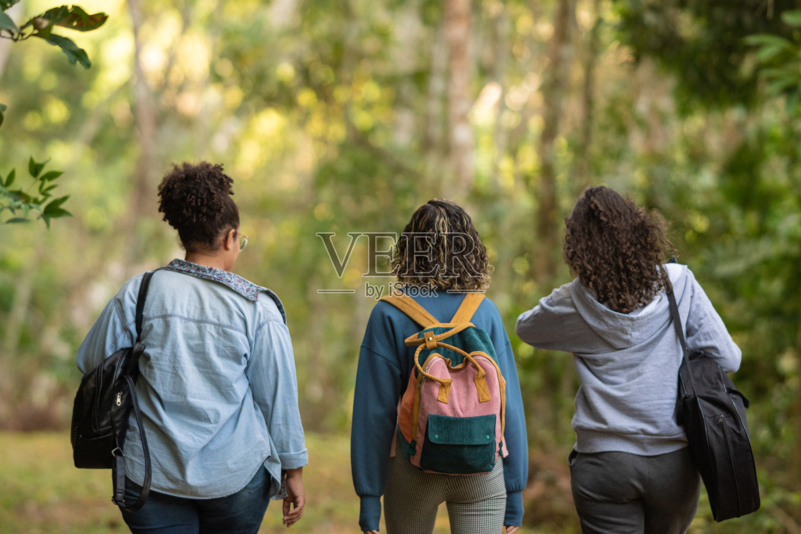 人们在自然小径上的背影照片摄影图片