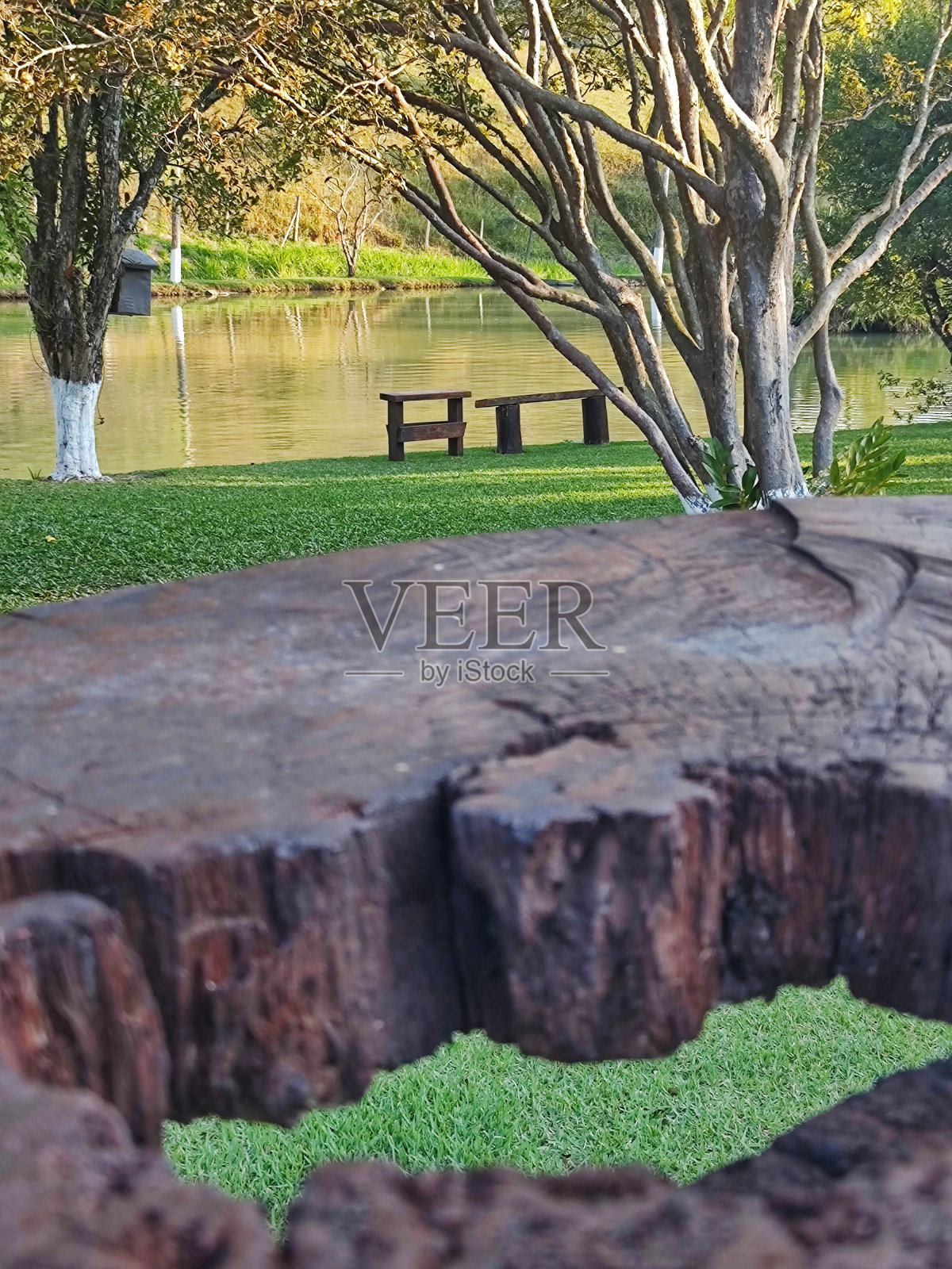 乡村之美照片摄影图片