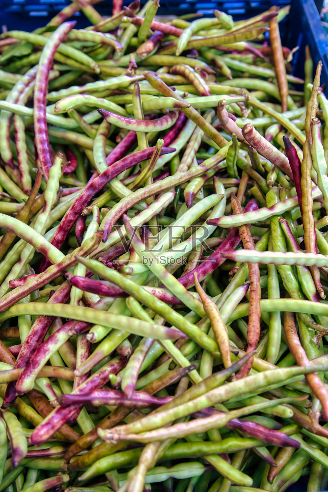 密西西比紫壳豌豆照片摄影图片