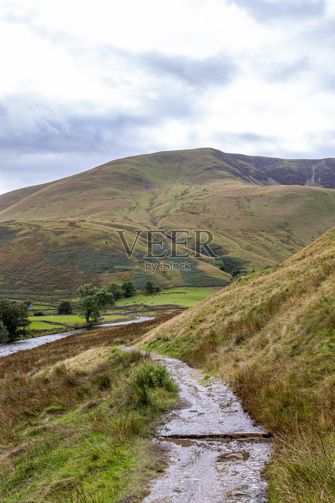 一条蜿蜒的小路穿过郁郁葱葱的绿色山丘,有一条河流和阴暗的天空。照片摄影图片