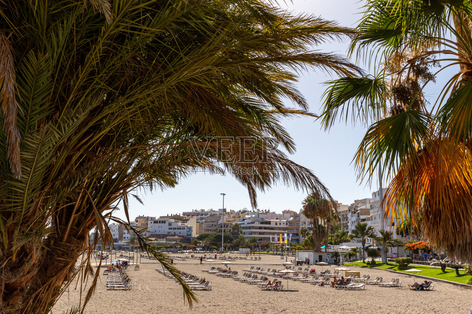 在特内里费岛的洛斯克里斯蒂亚诺斯,有棕榈树和日光浴躺椅的热带海滩,湛蓝的天空,诱人的度假场景。照片摄影图片