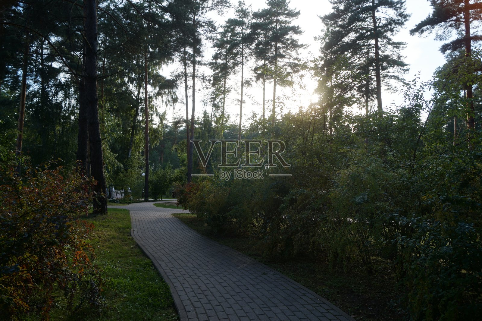 公园景观小巷景观照片摄影图片