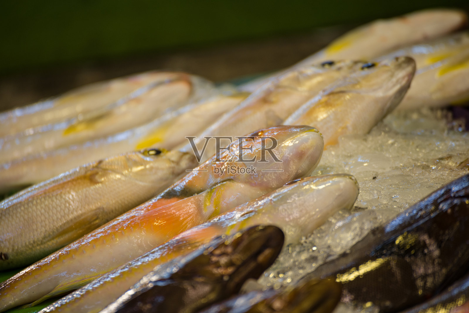 市场上的新鲜海鲜照片摄影图片