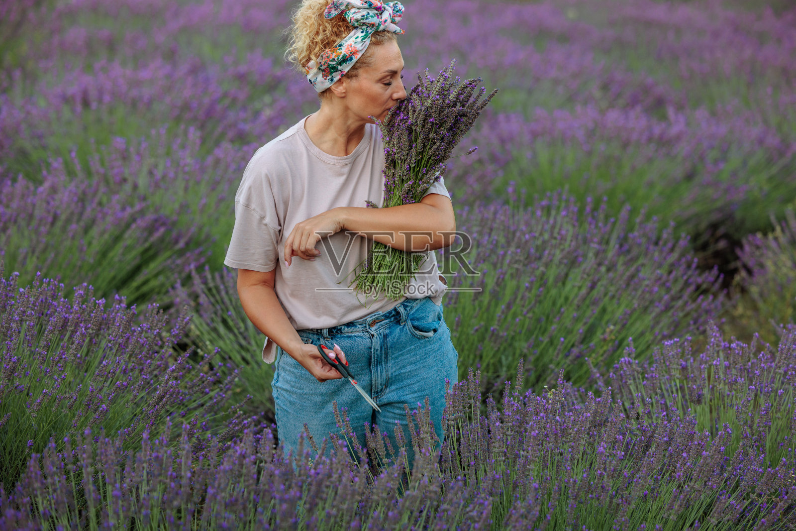 女人闻着一束新鲜采摘的薰衣草照片摄影图片