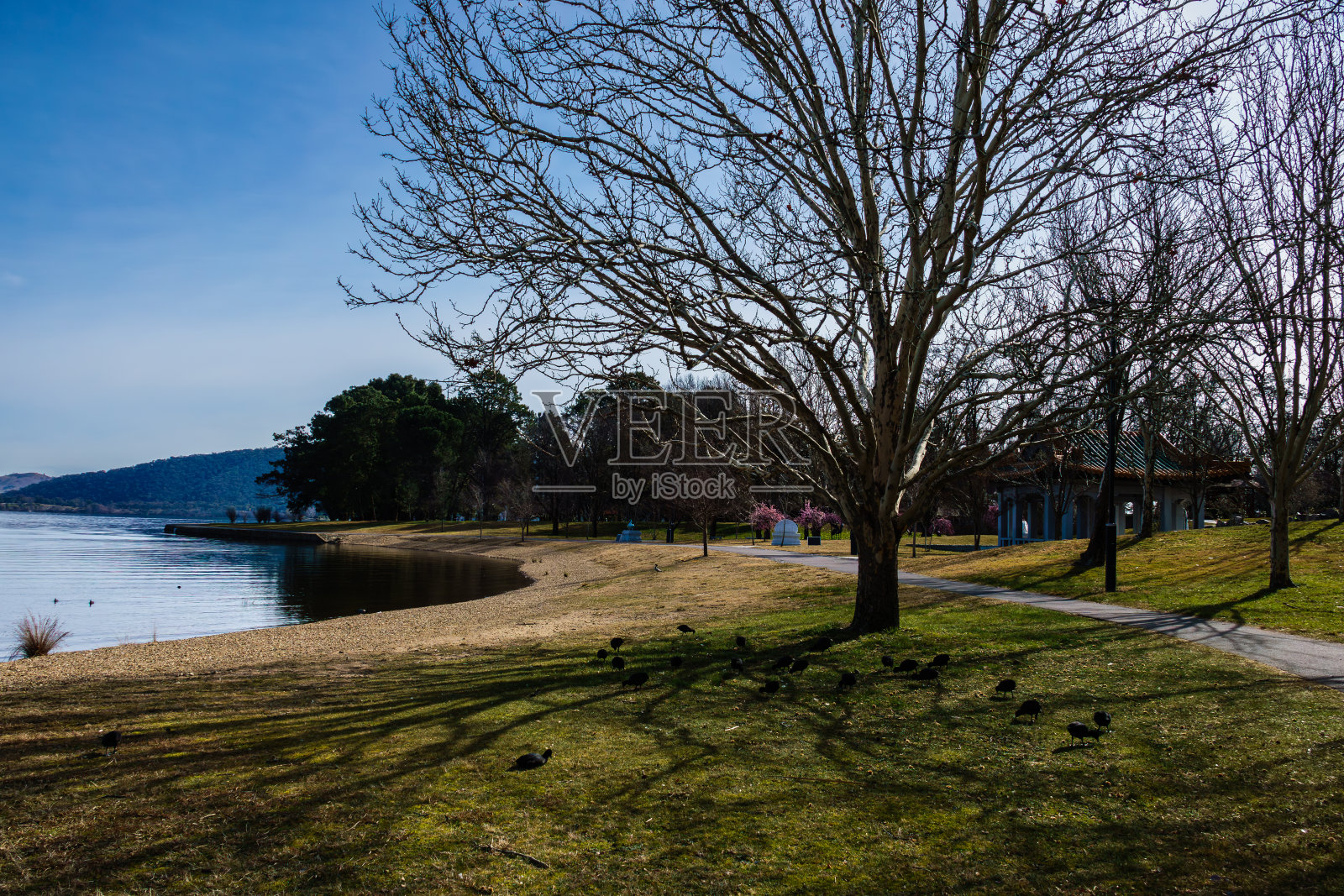 堪培拉北京花园的奢华风格照片摄影图片