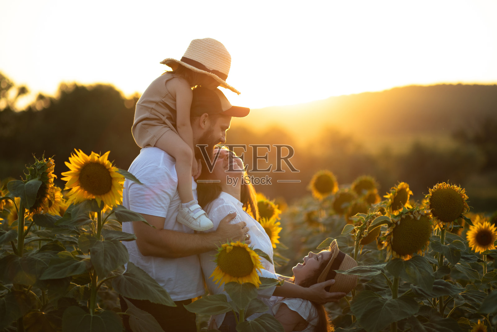 可爱的年轻家庭在向日葵农场股票照片照片摄影图片