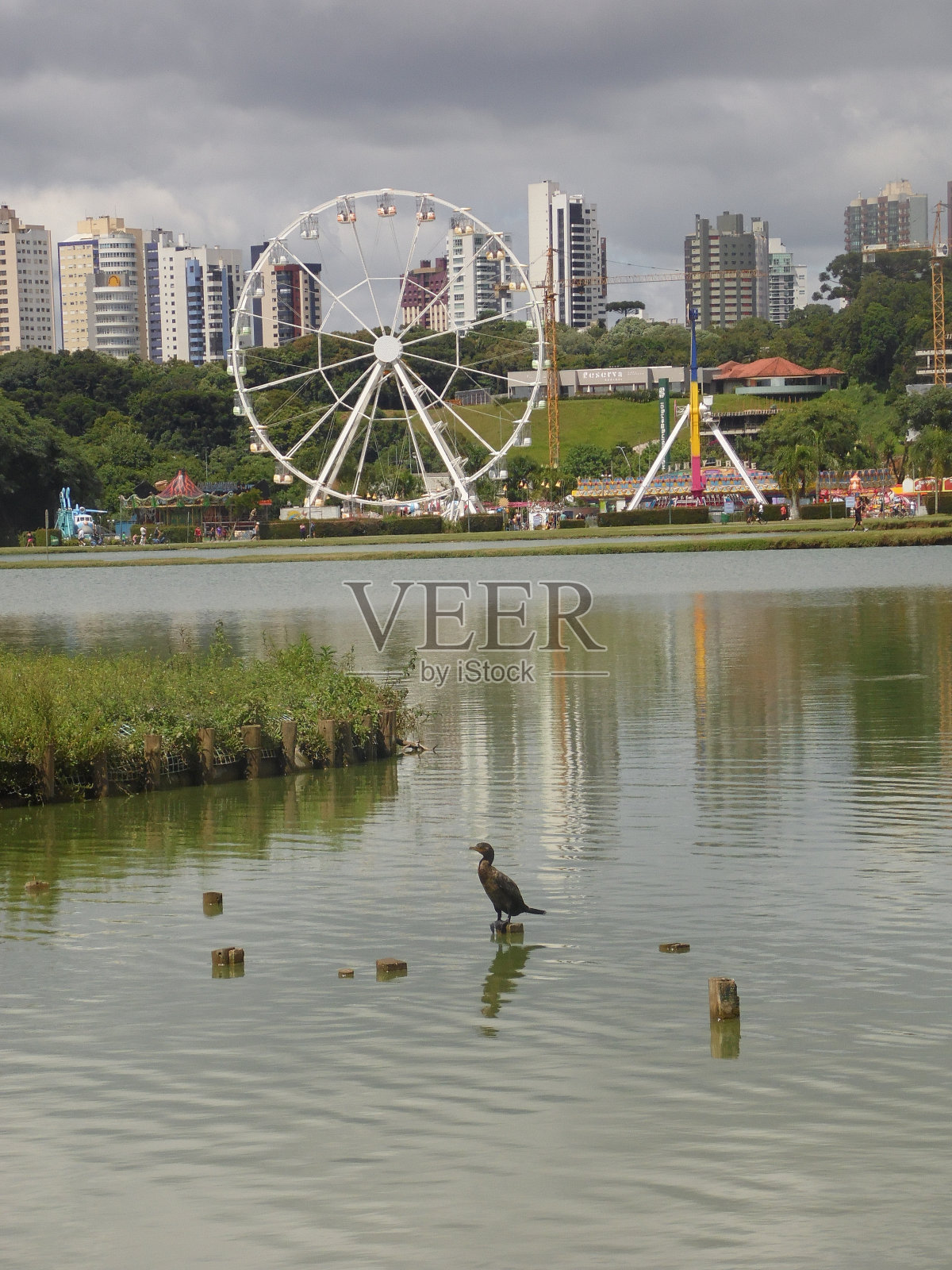 Barigui公园照片摄影图片