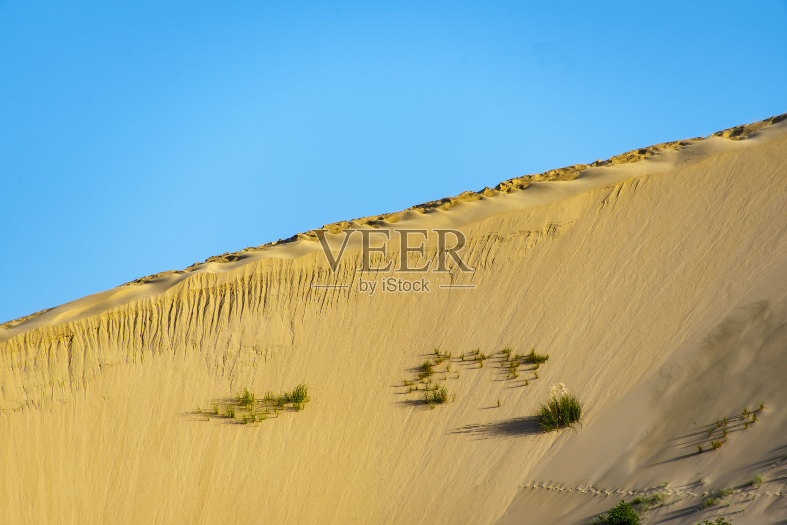 雷因加角的巨大沙丘照片摄影图片