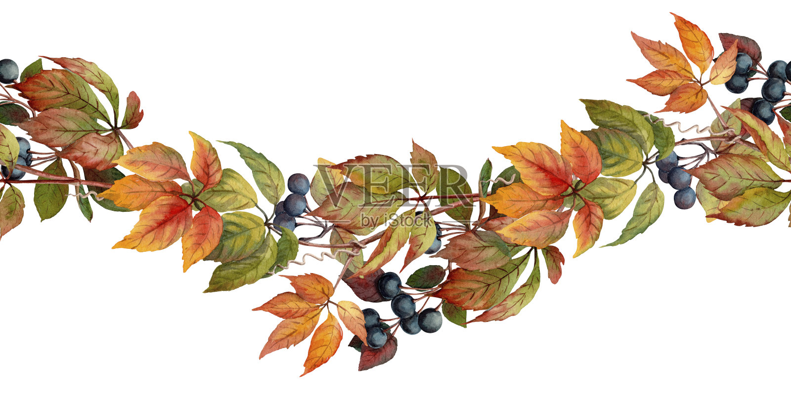 秋天曲线无缝边界与水彩纹理叶和浆果。手绘花卉安排与现实的秋天藤本植物和树叶。完美的植物无尽的卡片模板和框架设计。插画图片素材