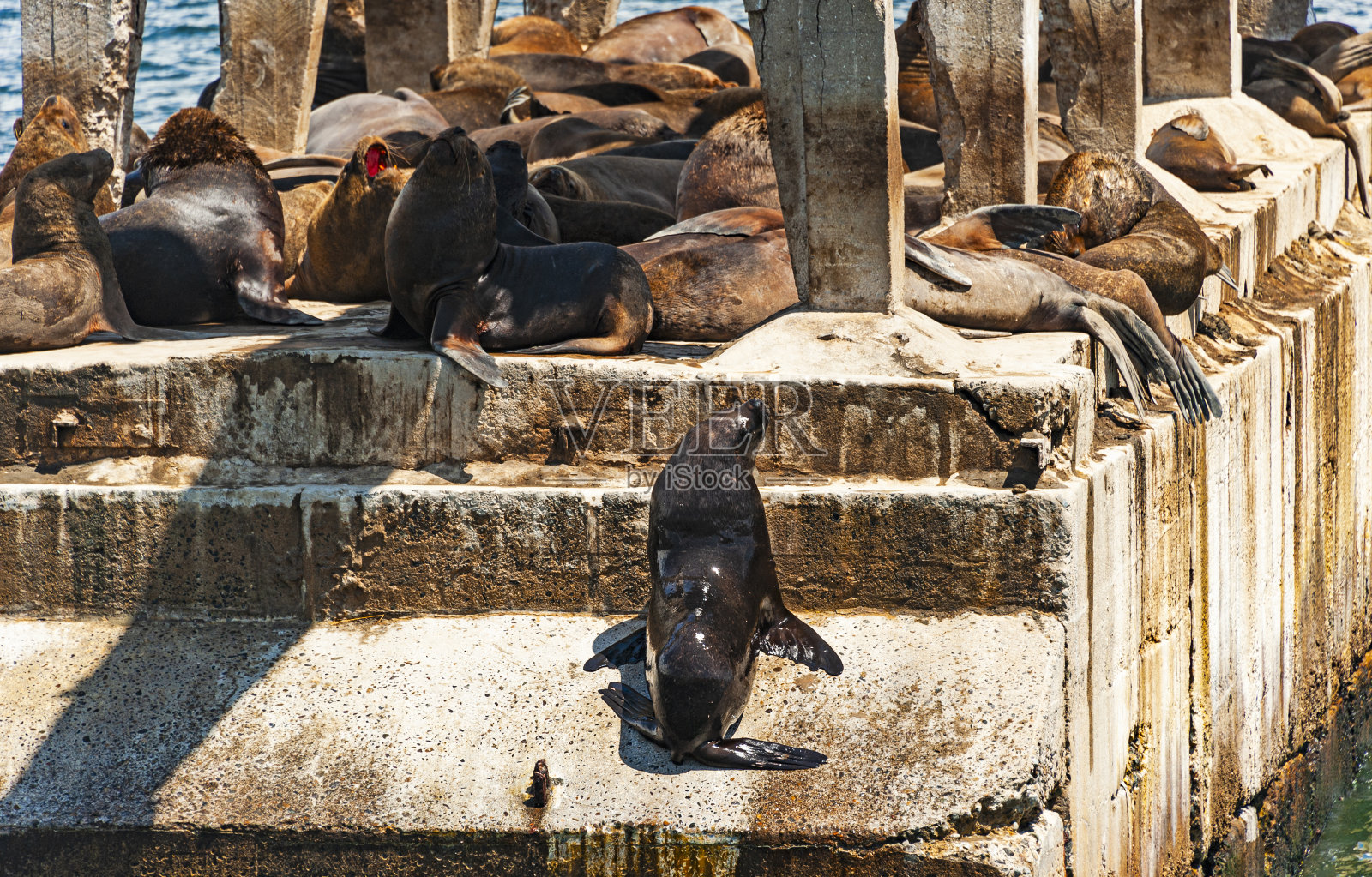 Muelle Barron在瓦尔帕莱索报道照片摄影图片