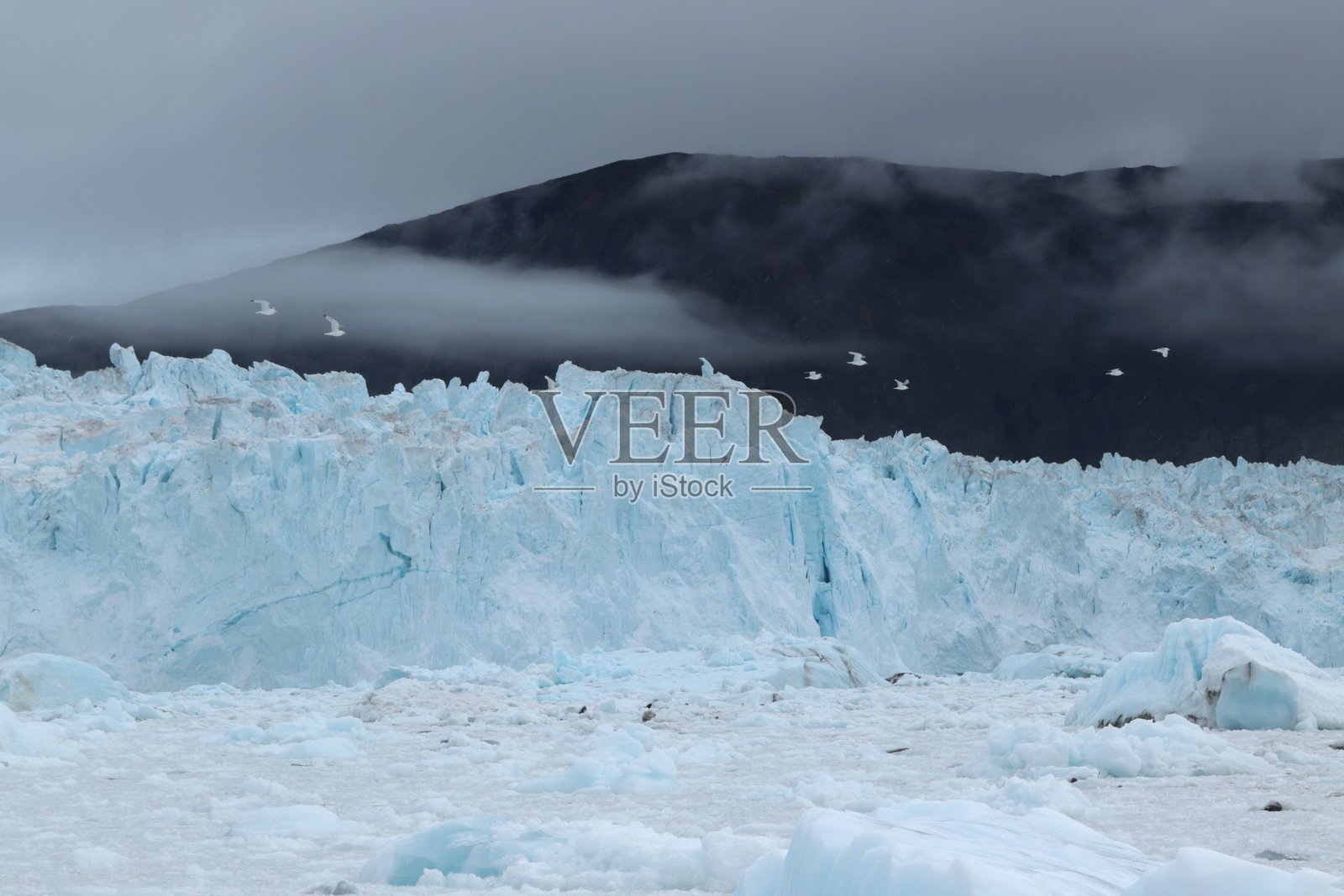 Eqi冰川照片摄影图片