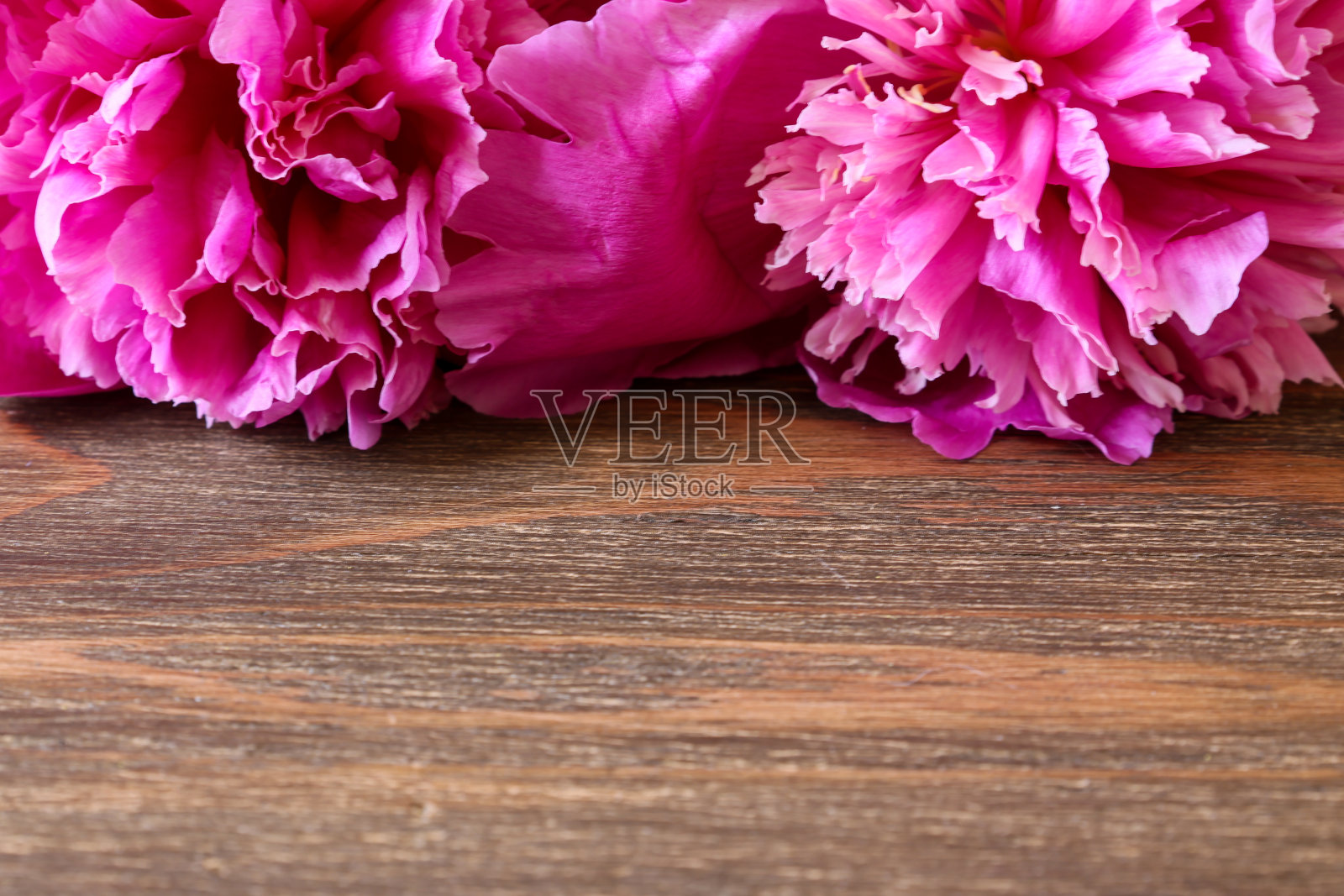 木制背景上的牡丹花束。照片摄影图片