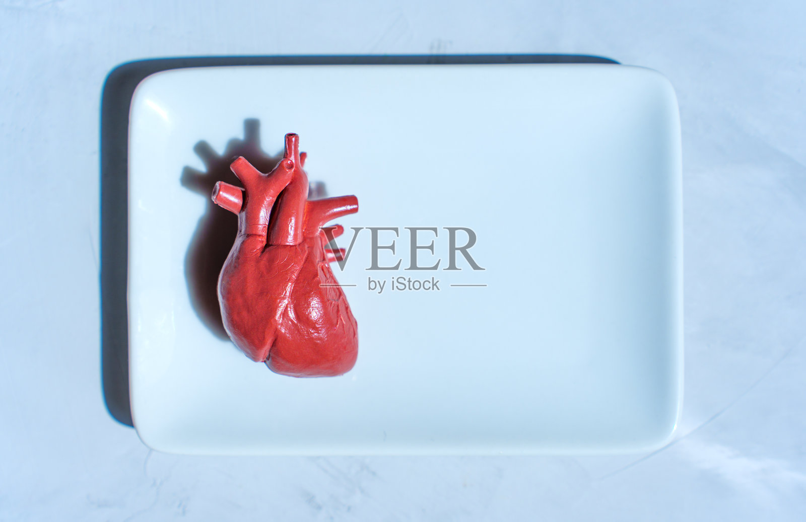 白色盘子上逼真的心脏模型照片摄影图片