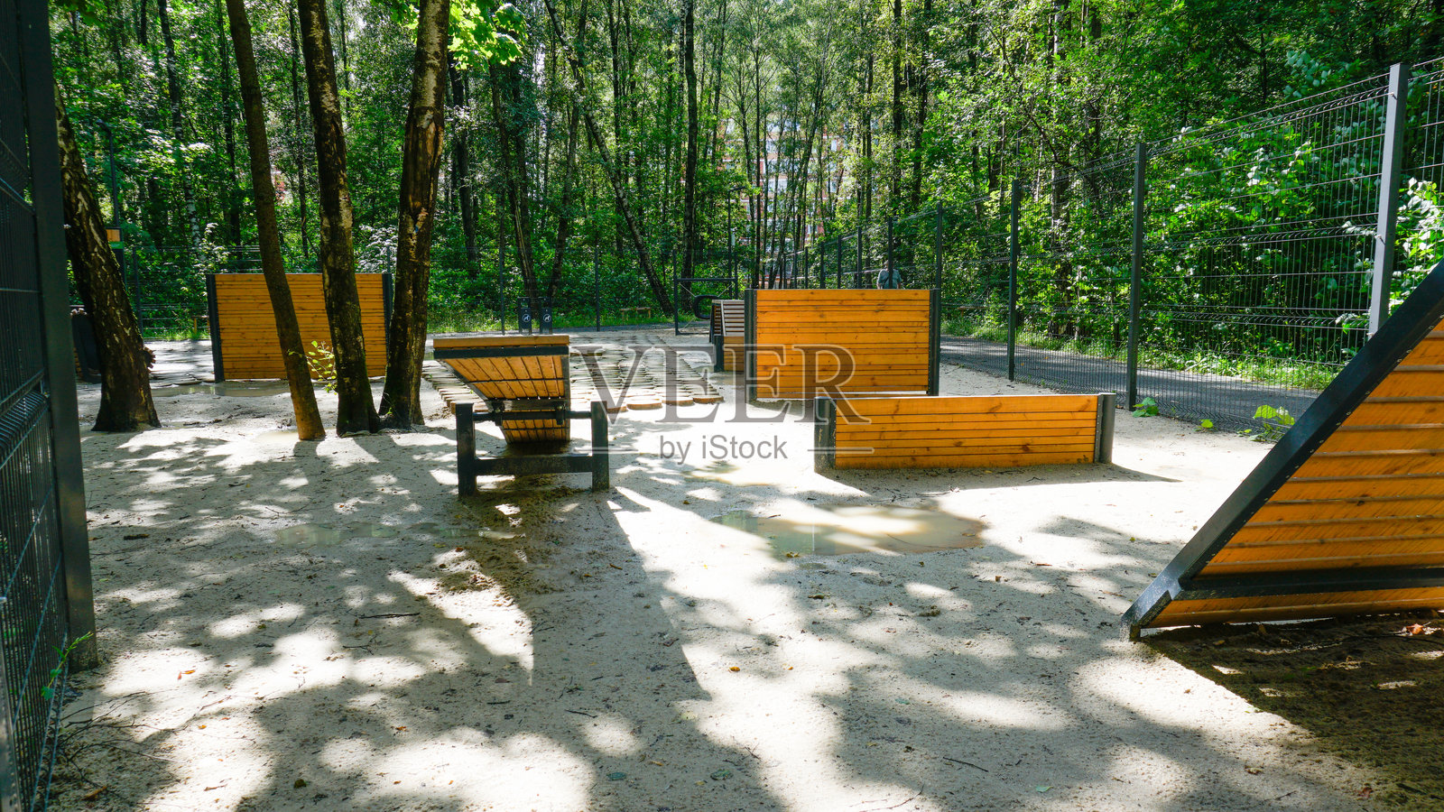 公园繁殖活跃的朋友背景户外训练服从快乐绿躺草快乐照片摄影图片