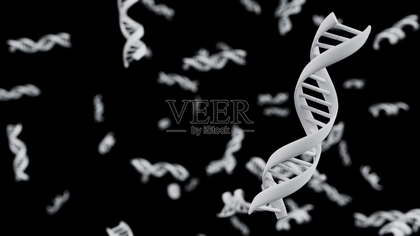 黑色背景上的白色DNA双螺旋链。科学与生物技术概念。3d渲染图照片摄影图片