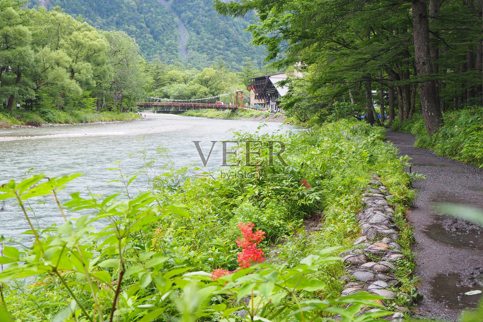 神高知县的自然美景照片摄影图片