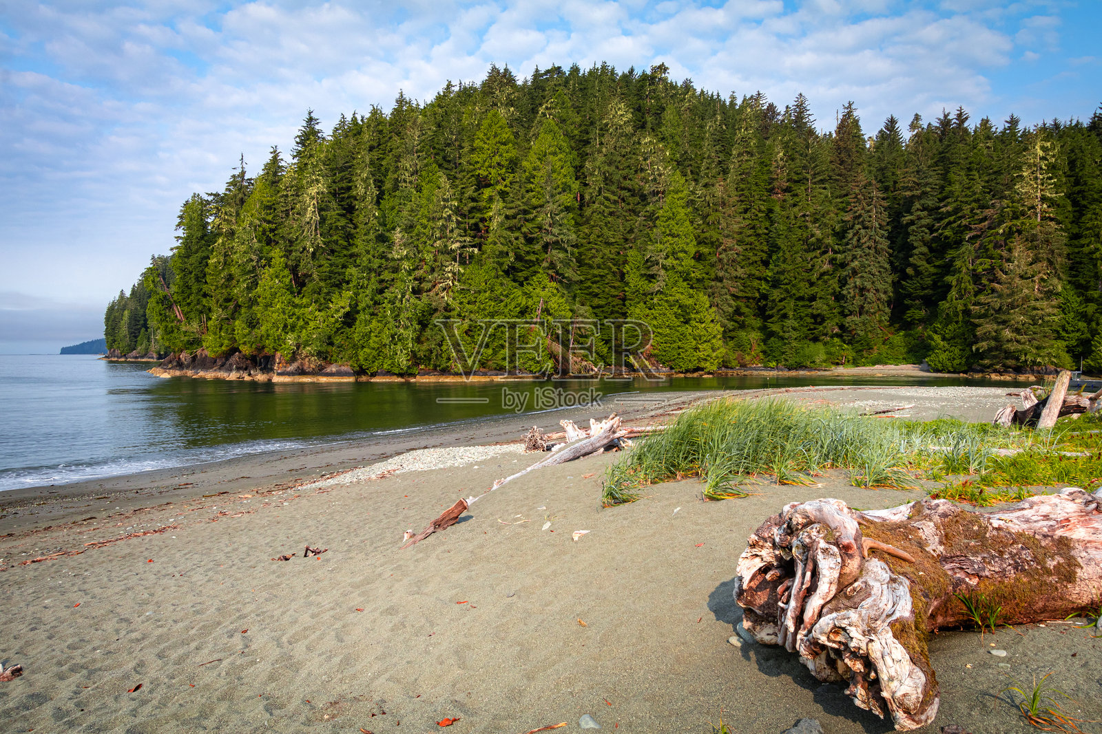 不列颠哥伦比亚省伦弗鲁港的帕奇达特海滩照片摄影图片