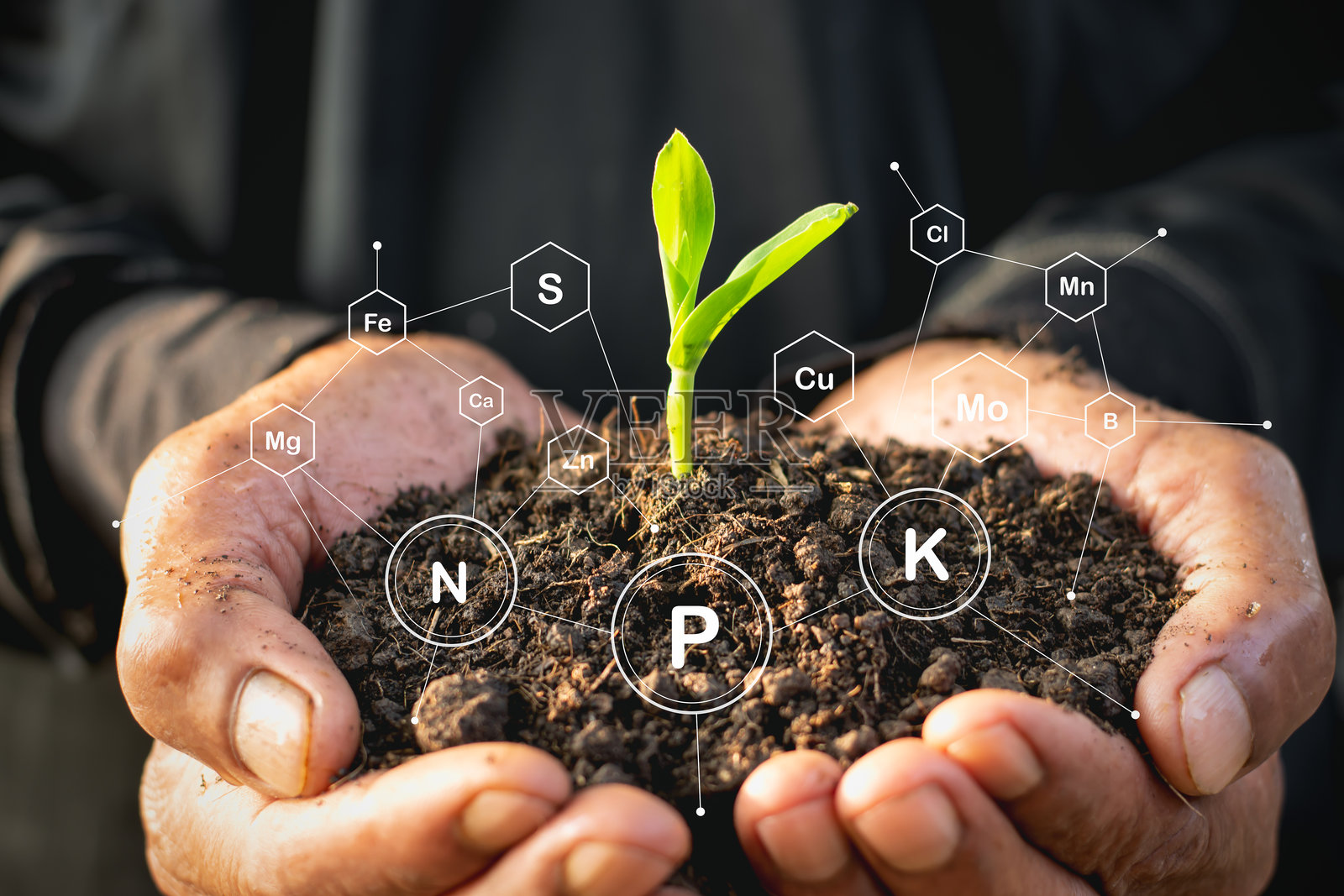 带字母和连接点的人手持植物的数字合成图像照片摄影图片