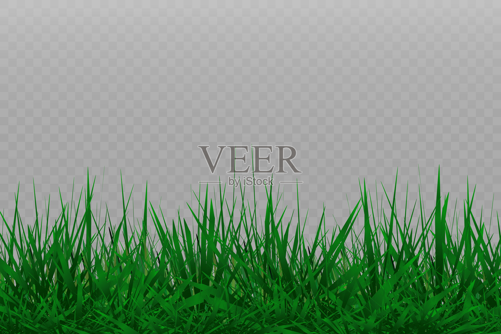 草的边界,矢量插图。矢量草,草坪。草png,草坪。阳光下的绿草。插画图片素材