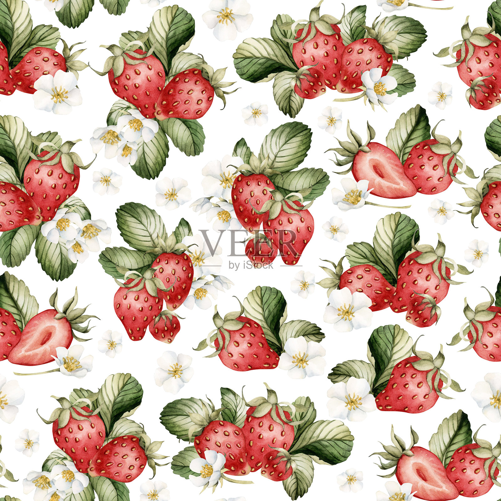 草莓,成熟的浆果,有花有叶。水彩插图,花无缝图案在白色的背景插画图片素材