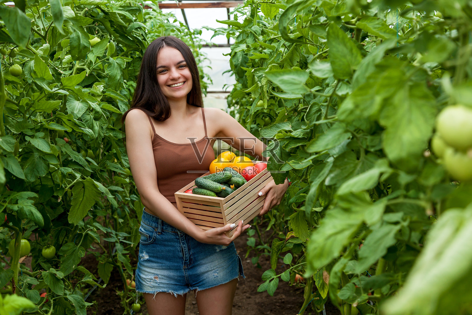 一个女孩站在温室里,手里拿着一个装有西红柿和黄瓜的木箱照片摄影图片