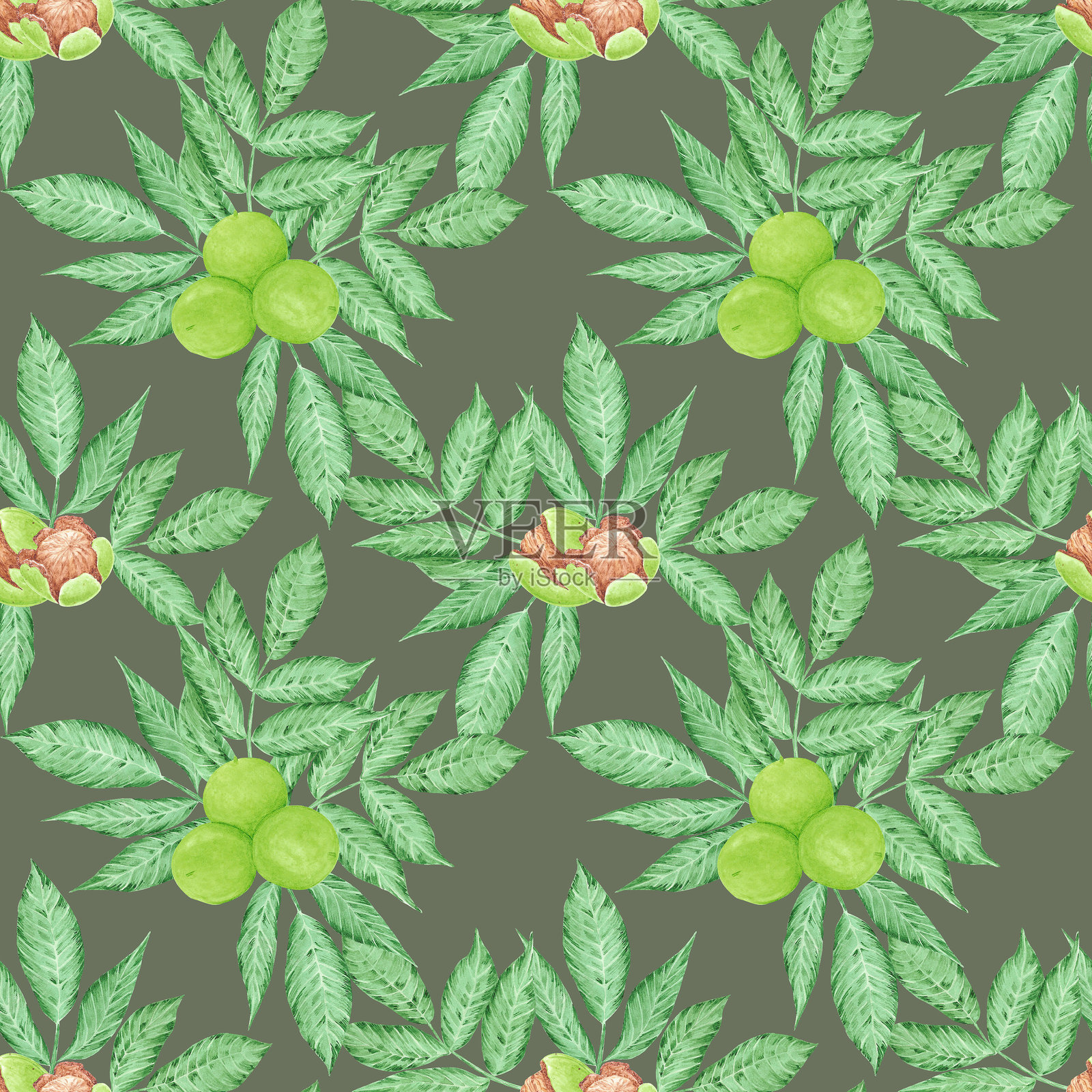 手绘水彩核桃与绿叶无缝图案隔离在白色背景。可用于纺织、织物、包装等印刷品。插画图片素材