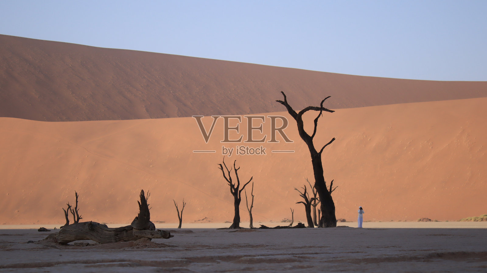 Deadvlei照片摄影图片