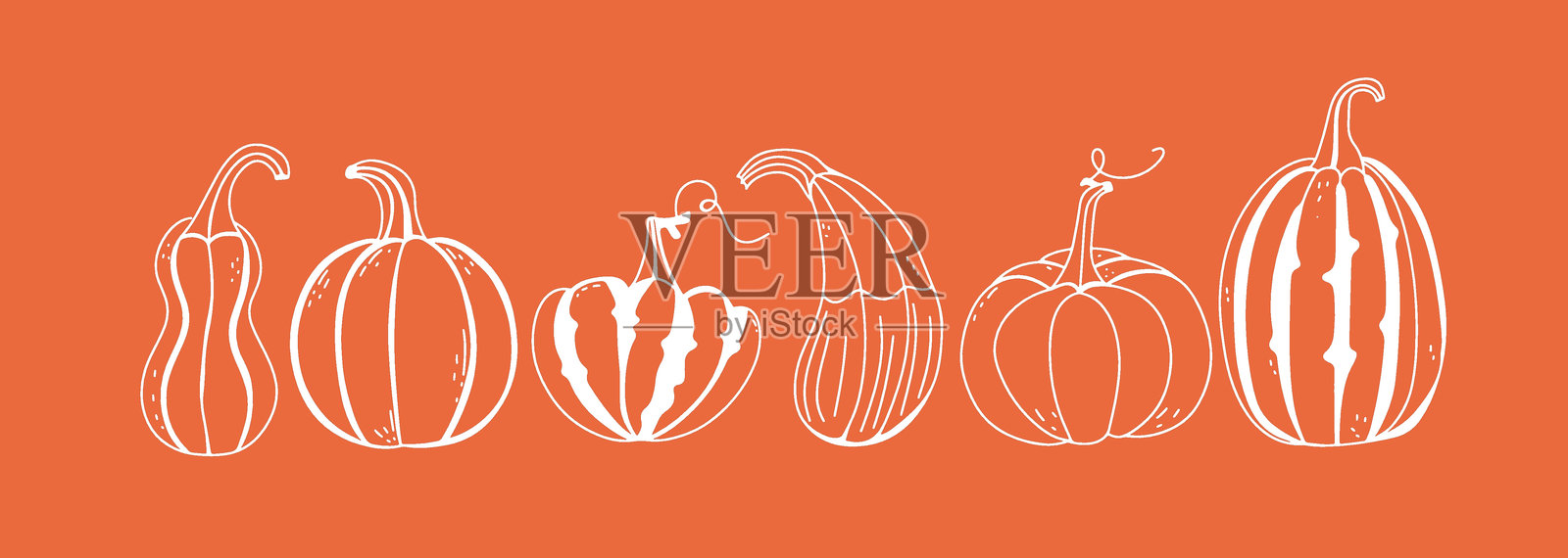 涂鸦南瓜套装。勾勒秋季设计元素。感恩节和秋季系列。插画图片素材