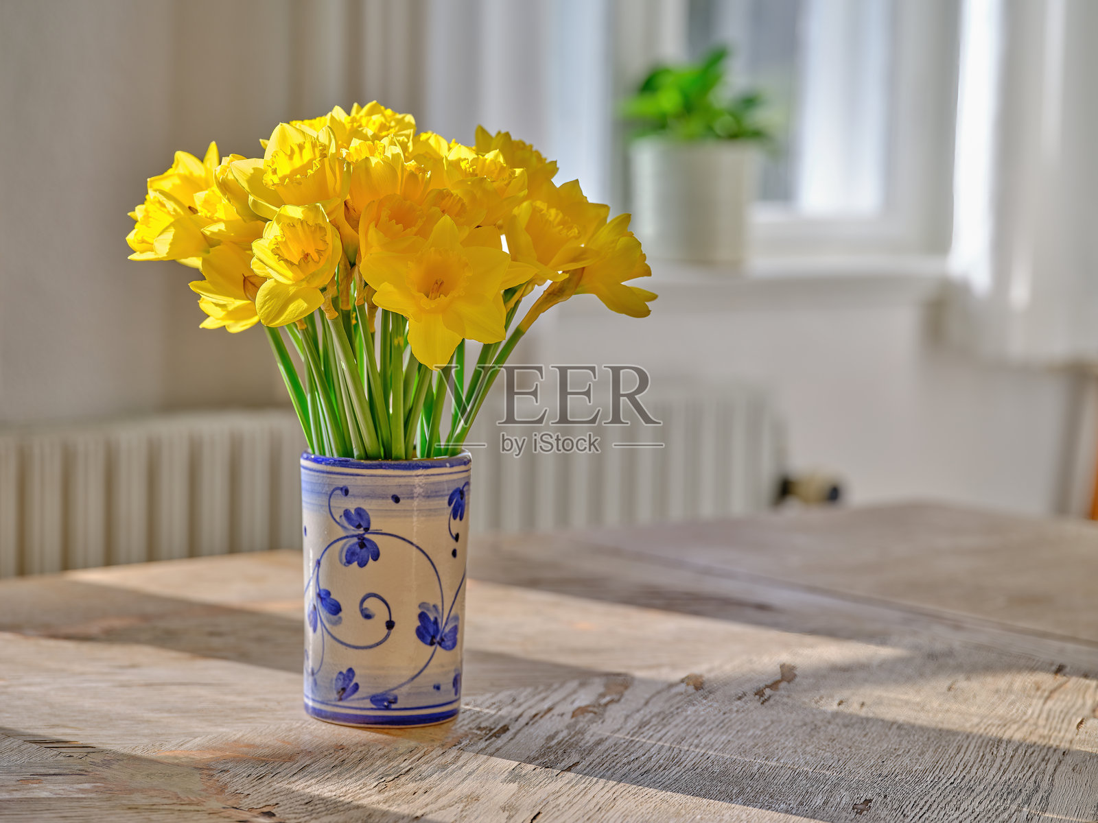 五颜六色的花束照片摄影图片